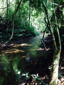 real tracks  - off-road motorcycle Enduro Tours Chiang Mai Thailand